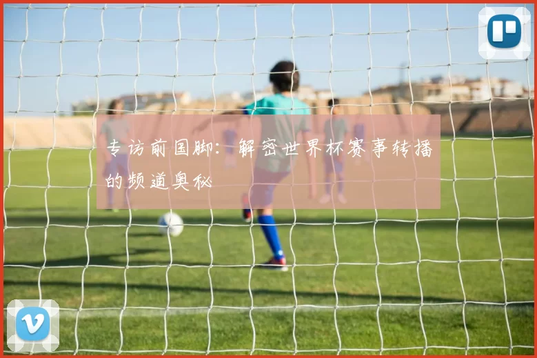 专访前国脚:解密世界杯赛事转播的频道奥秘