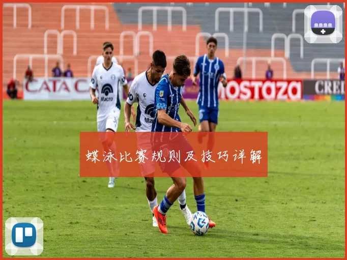 蝶泳比赛规则及技巧详解