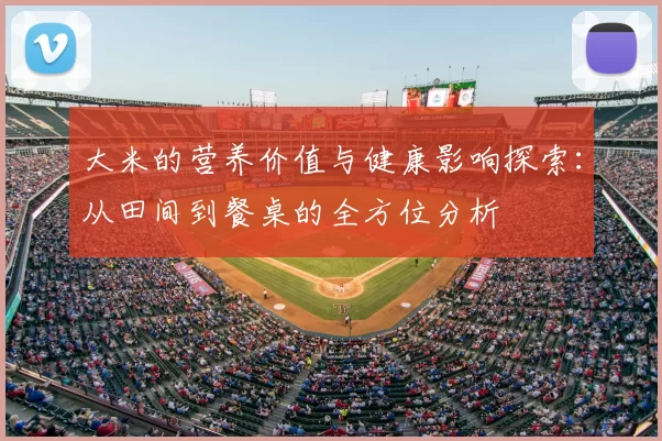 大米的营养价值与健康影响探索：从田间到餐桌的全方位分析