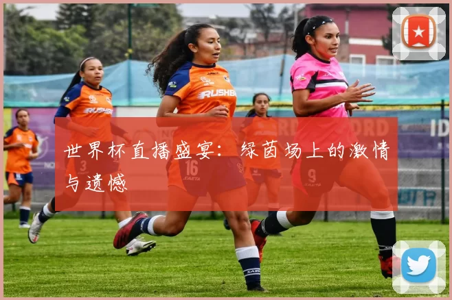 世界杯直播盛宴:绿茵场上的激情与遗憾