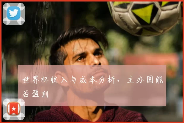 世界杯收入与成本分析,主办国能否盈利