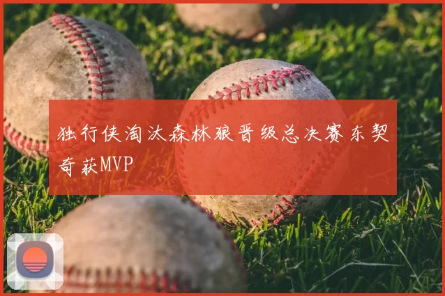 独行侠淘汰森林狼晋级总决赛东契奇获MVP