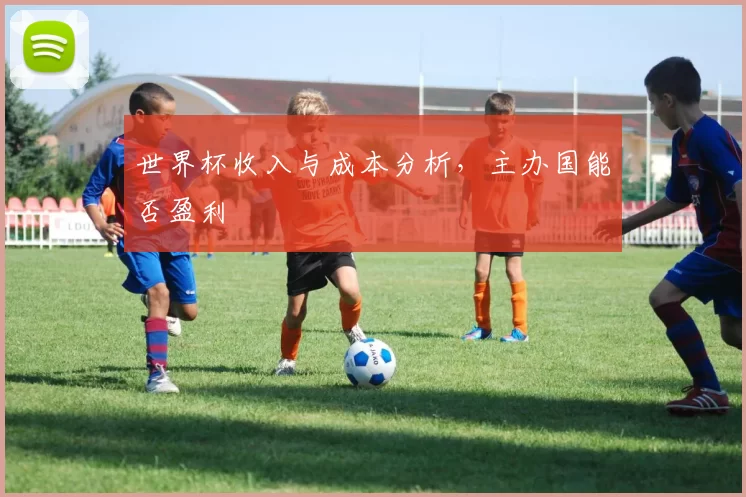 世界杯收入与成本分析,主办国能否盈利