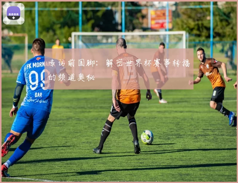 专访前国脚:解密世界杯赛事转播的频道奥秘