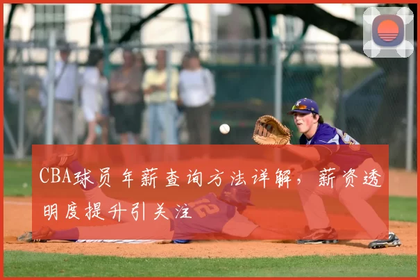 CBA球员年薪查询方法详解，薪资透明度提升引关注