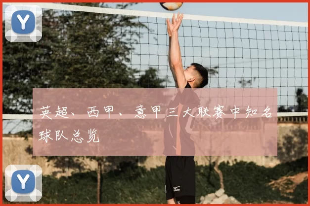 英超、西甲、意甲三大联赛中知名球队总览