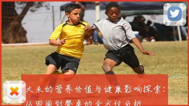 大米的营养价值与健康影响探索：从田间到餐桌的全方位分析