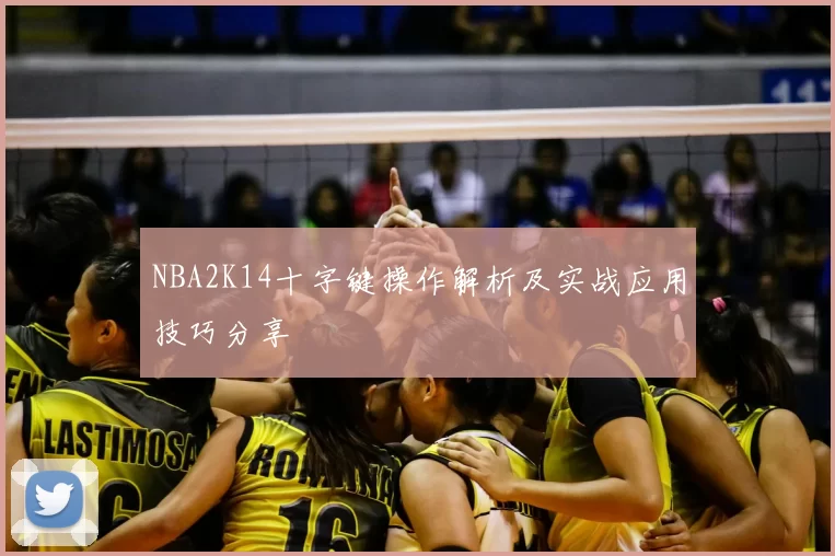 NBA2K14十字键操作解析及实战应用技巧分享