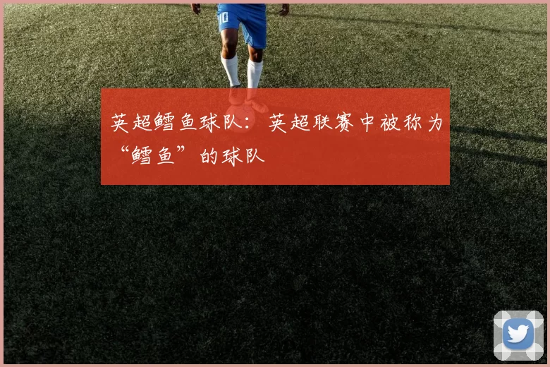 英超鳕鱼球队：英超联赛中被称为“鳕鱼”的球队