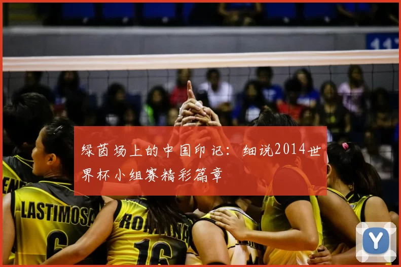 绿茵场上的中国印记:细说2014世界杯小组赛精彩篇章