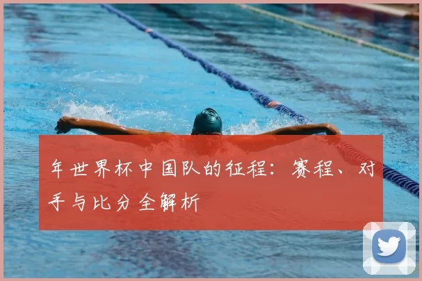 年世界杯中国队的征程:赛程、对手与比分全解析
