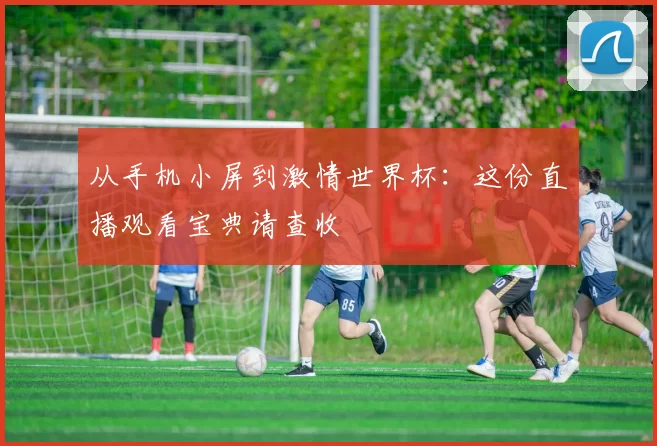 从手机小屏到激情世界杯：这份直播观看宝典请查收