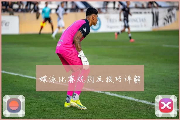 蝶泳比赛规则及技巧详解