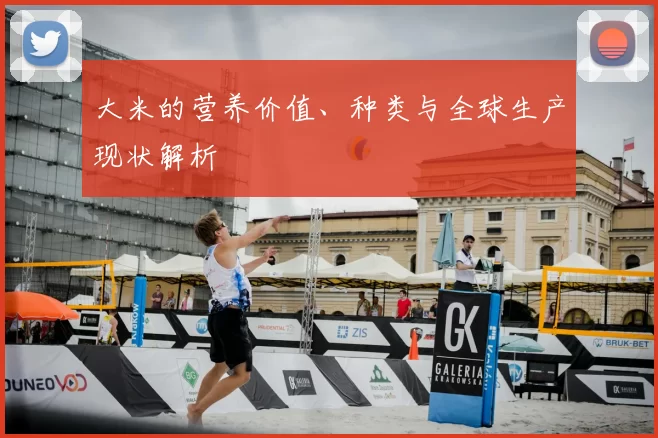 大米的营养价值、种类与全球生产现状解析